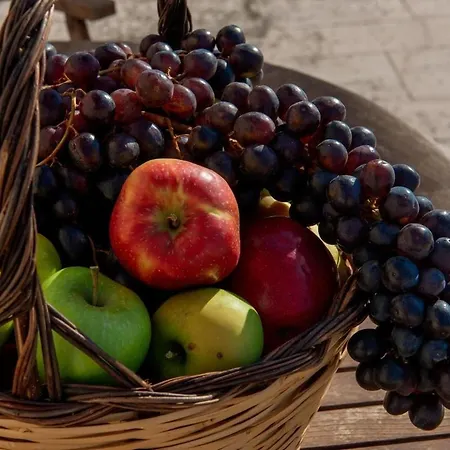 Tenuta Ulivi Hébergement de vacances *