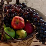Tenuta Ulivi 度假居 *